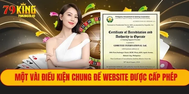 Điều kiện cấp giấy phép hoạt động tại nền tảng